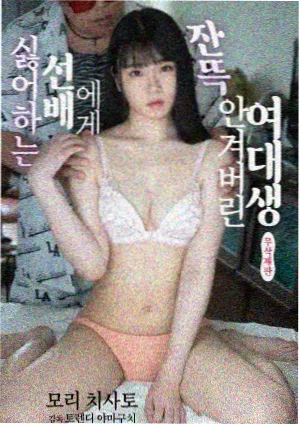 八戒看剧推荐剧集长夜列车